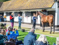 NH051025-37 - Will Carver